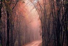 NG体育:看着就吓人!回顾NBA那些疯狂的冲突:詹姆斯肘击以赛亚满脸是血.