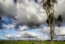 [德甲]马尔穆什传射建功 法兰克福大胜对手.