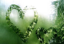 ⭐雷霆赛季对阵东部球队豪取28胜1负,提前创造西部vs东部最佳战绩.