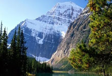 NG体育：[英超]第25轮：曼城4-0纽卡斯尔联 集锦.