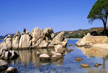 NG体育:CBA动态|山西第11外援将达北京 广东更换外援 上海连签两人.